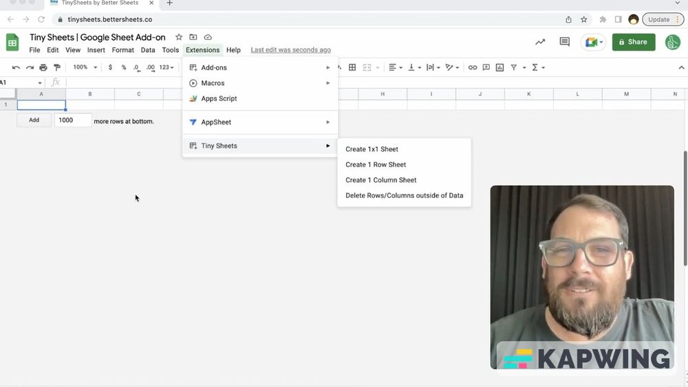 How To Use a 1Cell Google Sheet